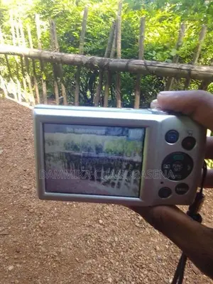 Canon SD Card