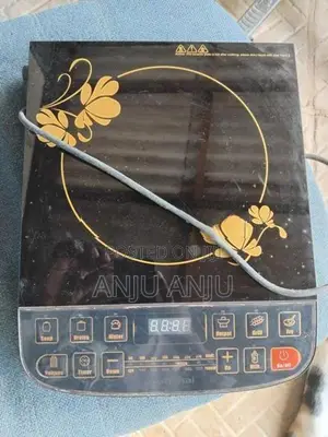 National Induction Cooker
