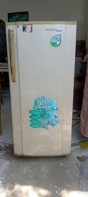 Singer Singr Geo