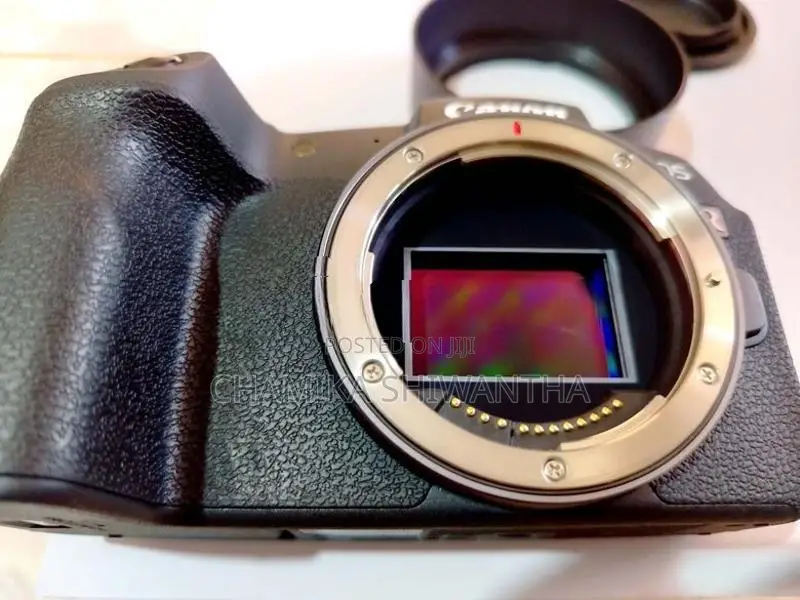 Canon EOS RP Camera Setup
