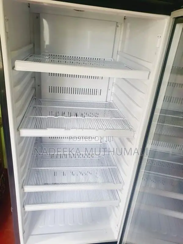 Sisil Bottle Cooler with Freezer