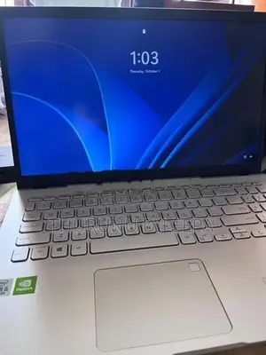 Asus Vivobook X509JP