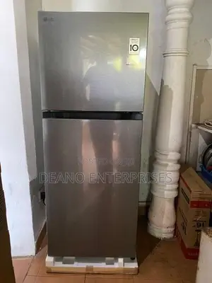 LG Inverter Refrigerator 238L