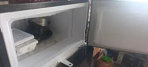 Innovex Fridge