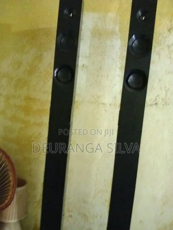 Panasonic Speaker System