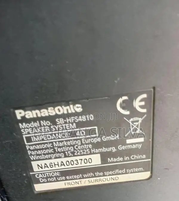 Panasonic Speaker System