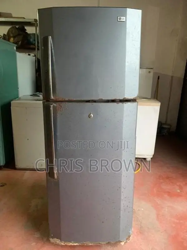 LG Fridge 2 Door
