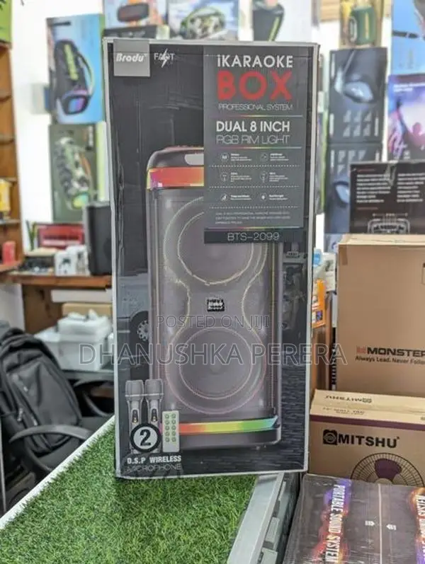 Broru BTS - 2099 High Power Outdoor Party Speakers With Dual Mic