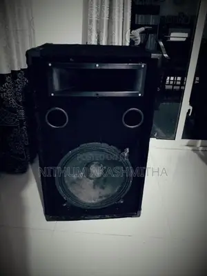 Pioneer