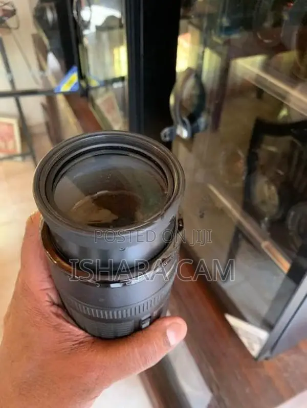 canon 100-300 pro type DSLR lens