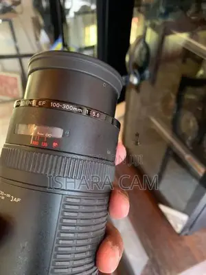 canon 100-300 pro type DSLR lens