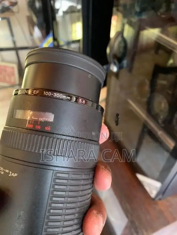 canon 100-300 pro type DSLR lens
