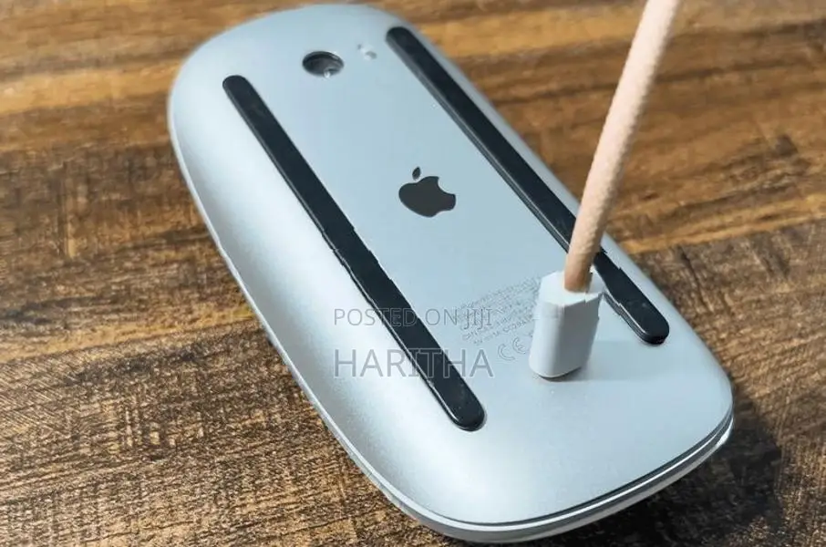 Apple Magic Mouse 2