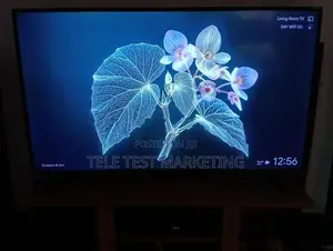 Singer Stellar 55″ 4K UHD TV