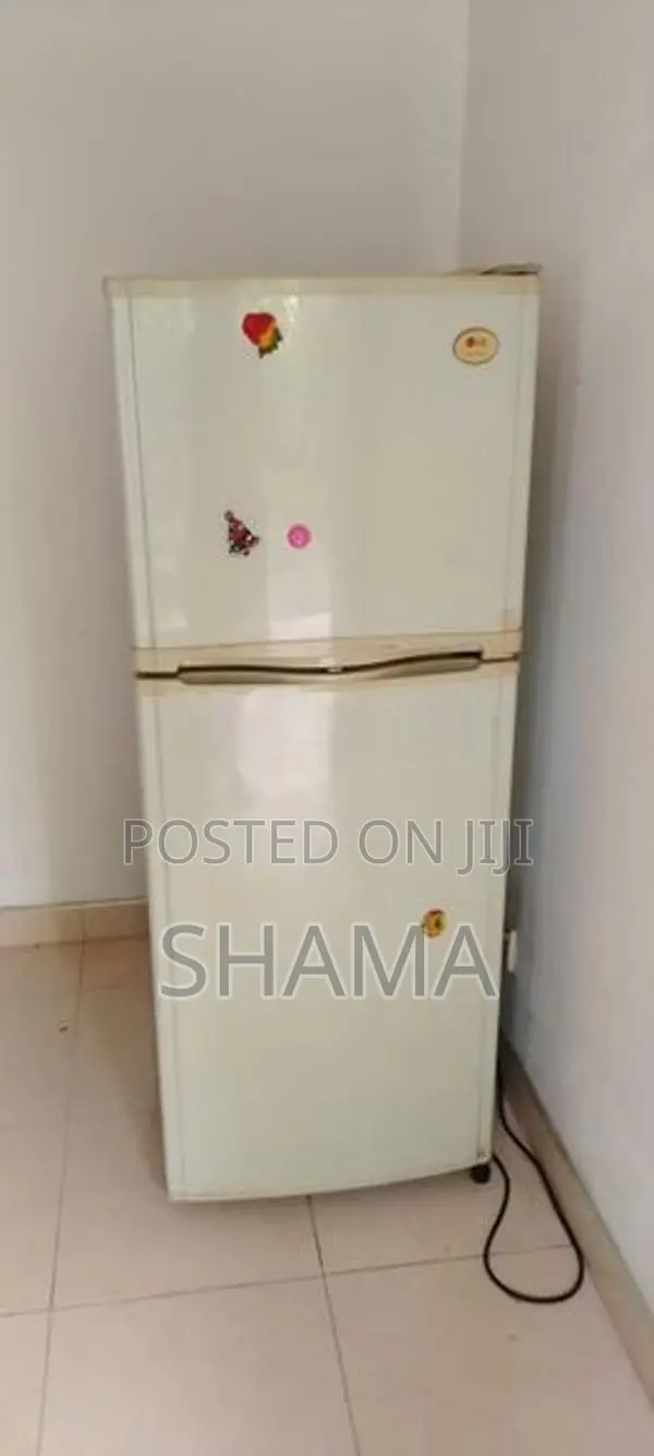 LG Double Door 230l Refrigerator