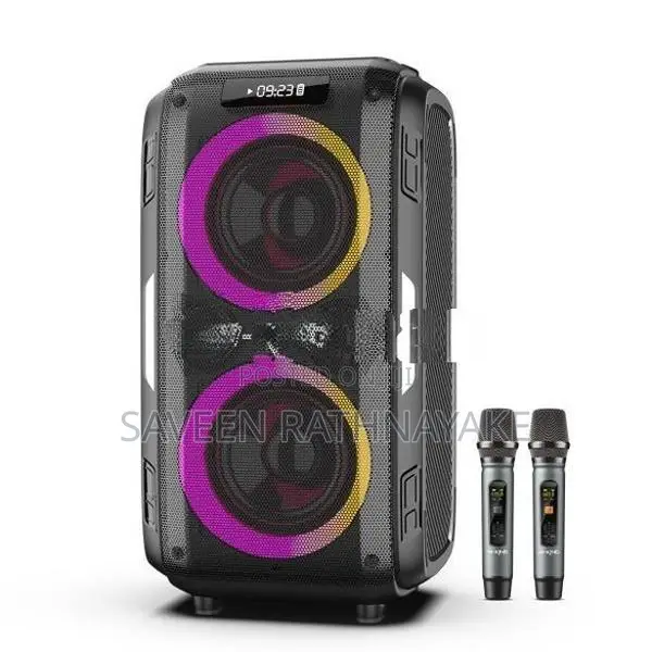 W-King T9 Pro Professional Karaoke Party Speakers with Dual Mic (120W)