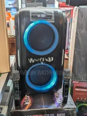 W-King T9 Pro Professional Karaoke Party Speakers with Dual Mic (120W)