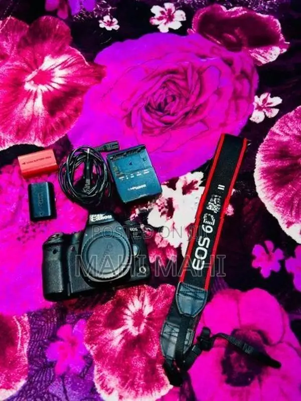 Canon 6d Mark DSLR