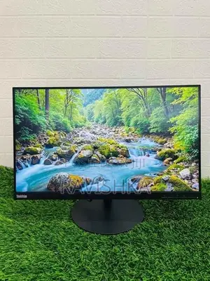 Lenovo Think Vision 24 Inches Frameless IPS LED Monitor
