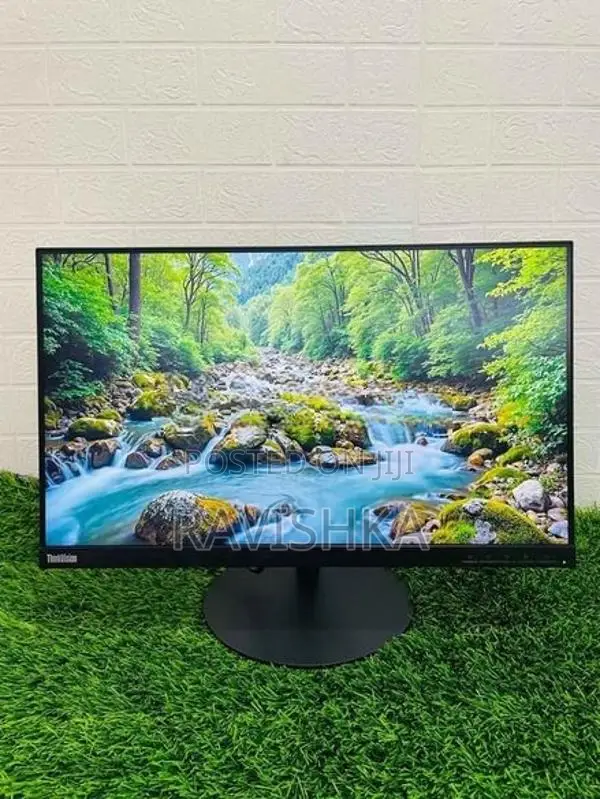 Lenovo Think Vision 24 Inches Frameless IPS LED Monitor