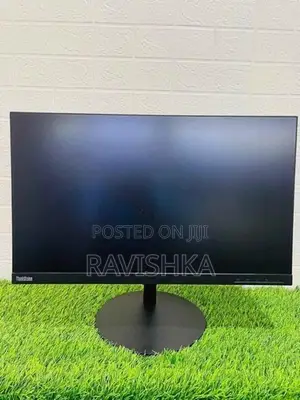 Lenovo Think Vision 24 Inches Frameless IPS LED Monitor
