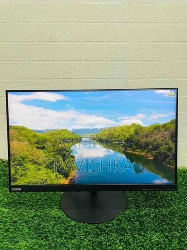 Lenovo Think Vision 24 Inches Frameless IPS LED Monitor
