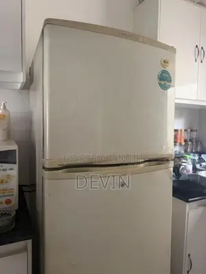 LG Two Door Fridge - 265L