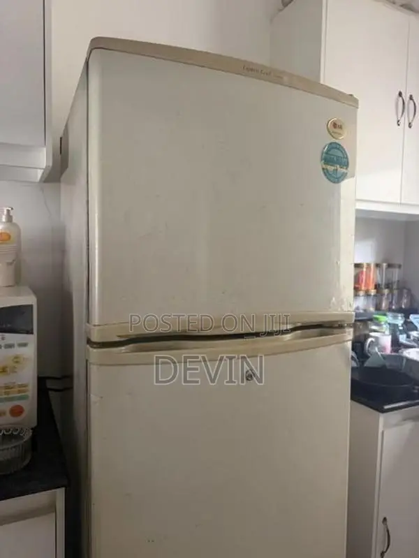 LG Two Door Fridge - 265L
