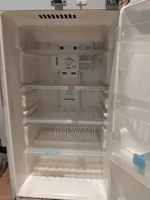 LG Two Door Fridge - 265L