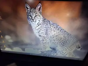 Lenovo i3 13 Generation Laptop