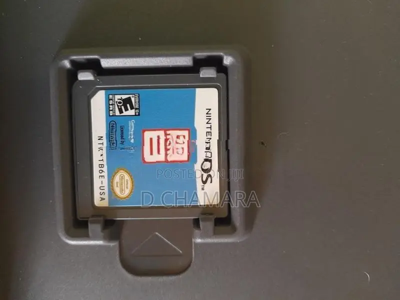 Nintendo Ds Game