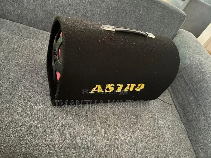 Astro Subwoofer 10"inch - Speakers / sound system
