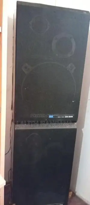 Pioneer