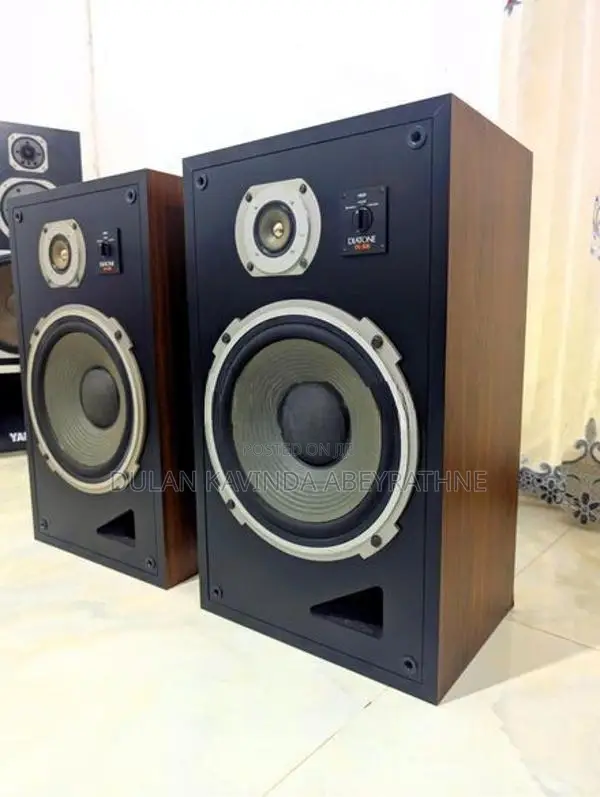 Diatone DS-30B – 12" Vintage Japanese Hi-Fi Speaker 8Ω 1977