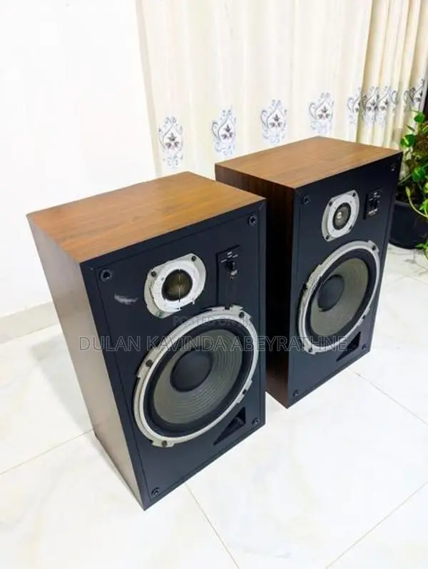 Diatone DS-30B – 12" Vintage Japanese Hi-Fi Speaker 8Ω 1977