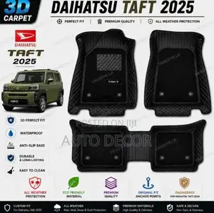 mira 3d carpet for Car