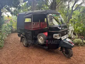Piaggio Ape 2011 Three Wheel (Used)