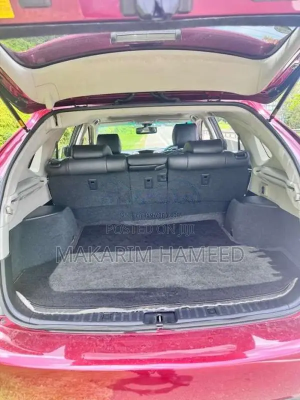Toyota Harrier 2010 SUV (Used)