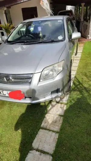 Toyota Axio 2007 Car (Used)