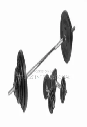 Bench Dumbbell Weight Plate Set Home Gym