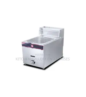 Fully Automatic Gas Fryer 17L - Double