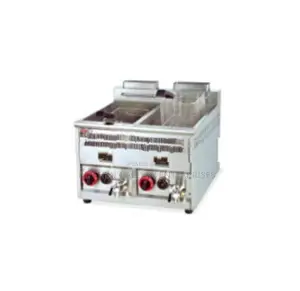 Fully Automatic Gas Fryer 17L - Double