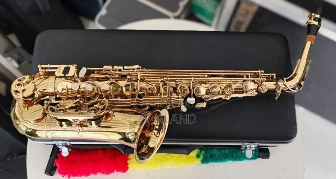 J.Michael Alto Saxophone-Japan