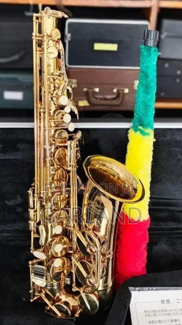J.Michael Alto Saxophone-Japan