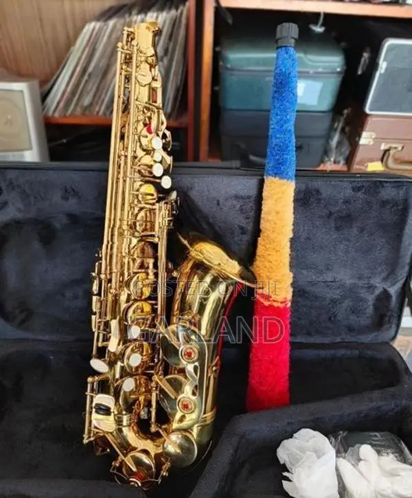 SELVA Alto Saxophone-Japan