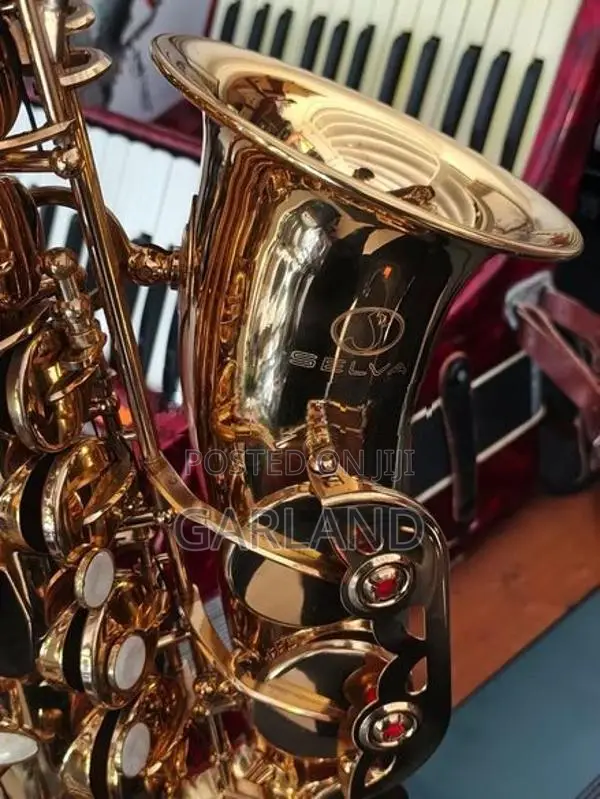 SELVA Alto Saxophone-Japan