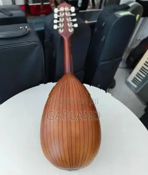 Kiso Suzuki Mandolin-Japan
