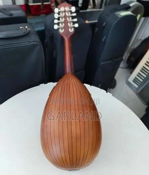 Kiso Suzuki Mandolin-Japan