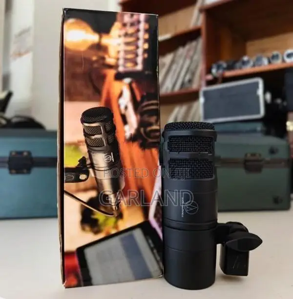 Audio Technica AT 2040 Podcast Microphone-Japan