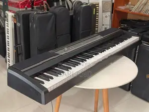 Korg SP-170DX 88-key Digital Piano-Japan